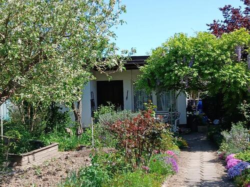 Foto - Garten (Pachtgarten) ab SOFORT ! - 04564 Böhlen