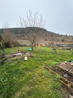 Foto - Einfamilienhaus in Osann-Monzel zum Kaufen