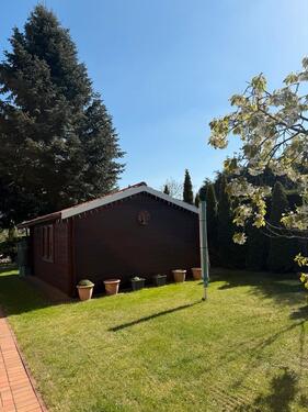 Foto - 7 Zimmer Einfamilienhaus in Werlte