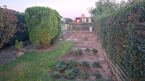 Foto - Grundstück in Delitzsch zur Miete