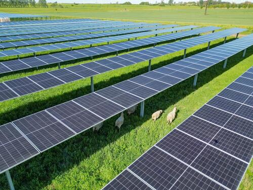 Foto - Mehr Ertrag aus Ihrer Fläche: Landwirtschaft & Solarstrom kombinieren
