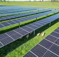 Mehr Ertrag aus Ihrer Fläche: Landwirtschaft & Solarstrom kombinieren - Bautzen