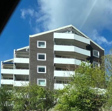 Foto - Gemütliche Wohnung in schöner Randlage mit Blick auf Bad Harzburg