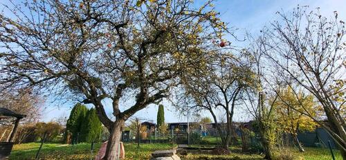 Foto - Grundstück in Coburg