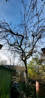 Foto - Grundstück in Coburg zur Miete