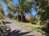 Foto - Langzeit Ferienhaus mit Meerblick Finca im Norden von Teneriffa