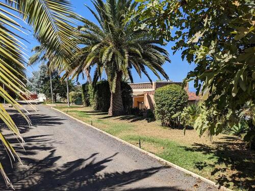 Foto - Langzeit Ferienhaus mit Meerblick Finca im Norden von Teneriffa