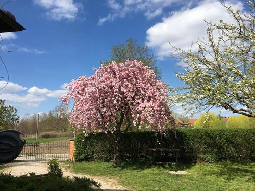 Foto - andere zur Miete in Burow