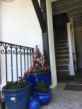 Foto - andere in Burow zur Miete