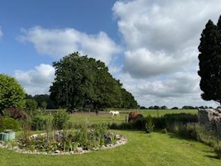 Foto - 3 Zimmer Doppelhaushälfte in Bargteheide