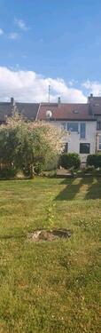 Foto - 5.5 Zimmer Mehrfamilienhaus, Wohnhaus zum Kaufen in Wadgassen