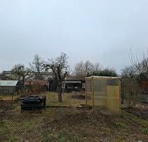 Garten in Wriezen, an fleißige Hände abzugeben. - Bad Freienwalde (Oder)