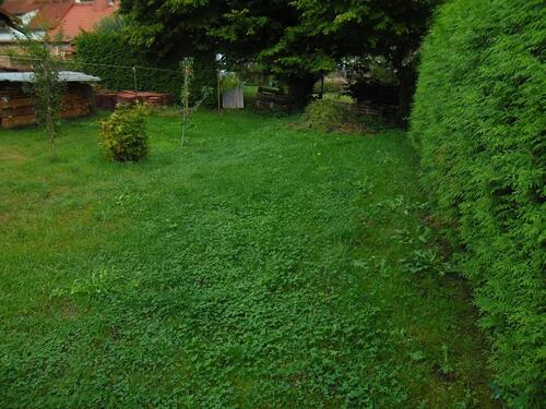 Foto - 