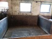 Foto - andere in Themar