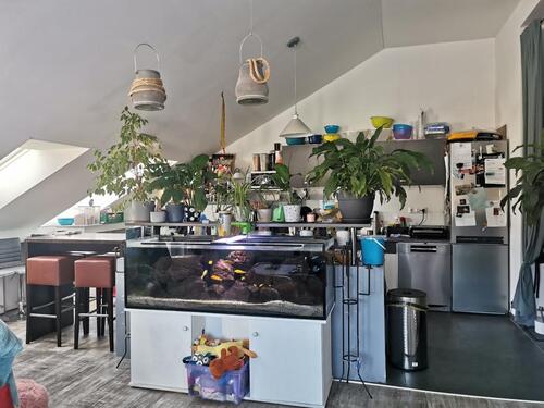 Foto - Dachgeschoßwohnung in Bad Saarow zur Miete