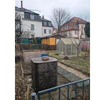 Kleingarten abzugeben in Pieschen - Dresden