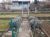 Foto - Garten Garten - 1.500,00&nbsp;EUR Kaltmiete, ca.&nbsp; 0,00&nbsp;m&sup2;