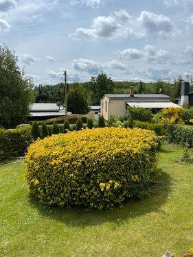 Foto - Einfamilienhaus zum Kaufen in Querfurt