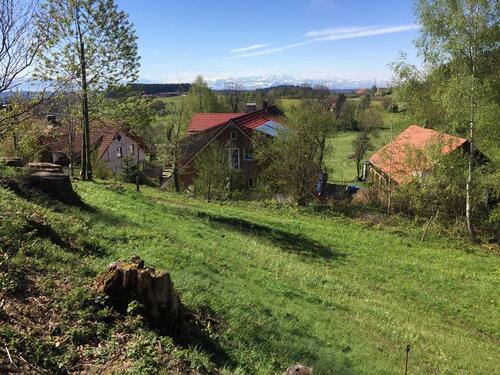 Foto - Möglichkeit zur Pony Pferdehaltung