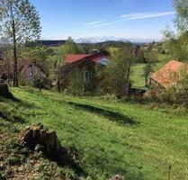 Möglichkeit zur Pony Pferdehaltung - Bodnegg