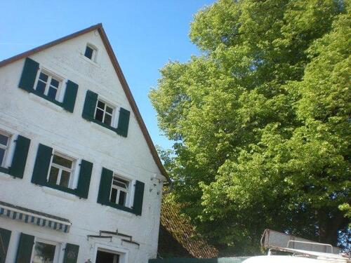 Foto - Bauernhof,Ranch,Fränkisches Original,an Naturliebhaber Pferde