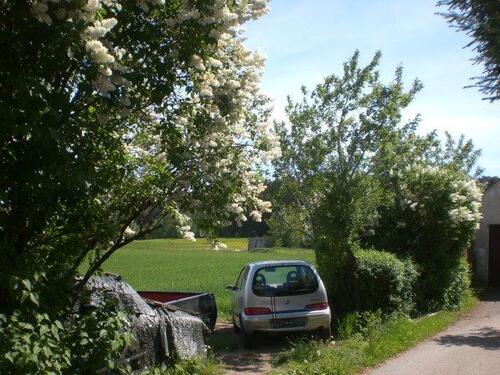 Foto - Bauernhaus, Landhaus in Dentlein am Forst zum Kaufen