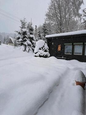 Foto - BungalowFerienwohnung - 69,00 EUR Kaltmiete,