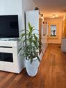 Foto - 3 Zimmer Etagenwohnung in Stuttgart