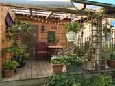 Foto - Blockhaus Bungalow Tiny House Mobilheim