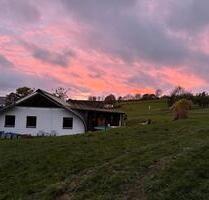 Bio Solar Haus mit großer Garage Werkstatt 2950 qm Grundstück - Freudenberg