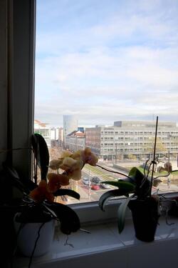 Foto - Einmalige exklusive 3 Zimmerwohnung mitten in der City am Leineuf
