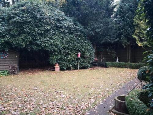 Foto - Einfamilienhaus zum Kaufen in Schiffdorf