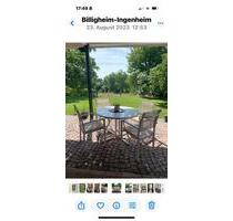 Möblierte Wohnung auf Zeit in Billigheim-Ingenh, Febr und März 26 - Ilbesheim bei Landau in der Pfalz