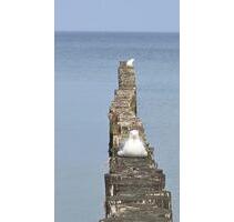 2 Zimmer Wohnung in Warnemünde - 900,00&nbsp;EUR Kaltmiete, ca.&nbsp; 52,00&nbsp;m&sup2; in Rostock (PLZ: 18119) Hohe Düne