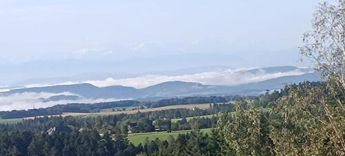 Foto - Etagenwohnung zur Miete in Höchenschwand