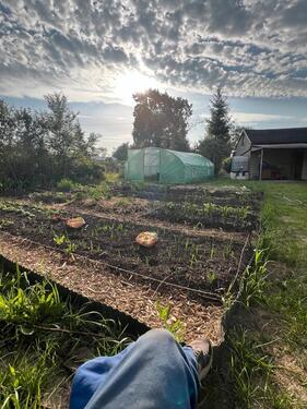 Foto - Gemeinschaftsgarten in Berlin Karow - Garten - Keine Ablöse