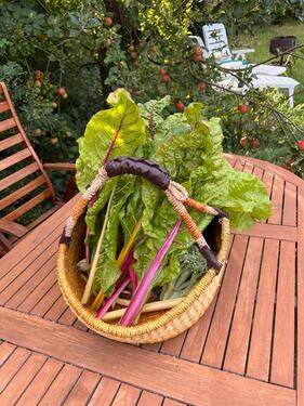 Foto - Grundst&uuml;ck zur Miete in Berlin