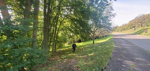 Foto - Grundst&uuml;ck zur Miete in Hüttisheim