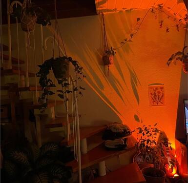 Foto - 2,5 Zimmer Wohnung Karlsruhe Oststadt