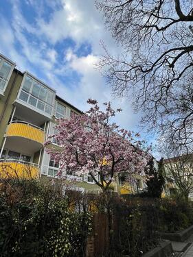 Foto - Wohnung in München - sehr hell, freundlich und zentral