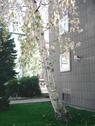 Foto - 2 Zimmer Etagenwohnung zur Miete in Wuppertal