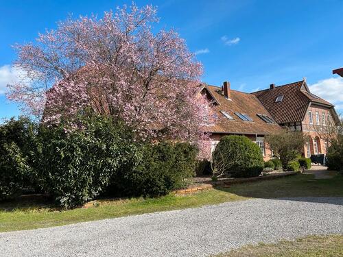 Foto - Ferienwohnung Aller-Leine-Tal Lüneburger Heide