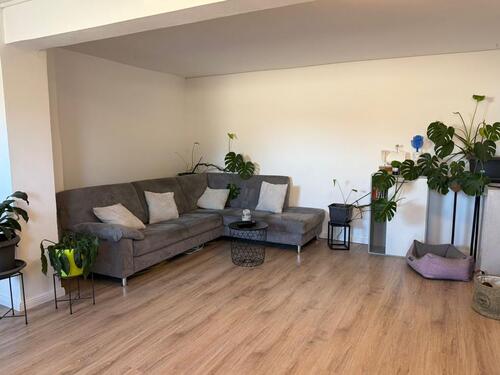 Foto - 2 Zimmer Erdgeschoßwohnung zur Miete in Calberlah