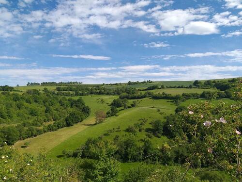 Foto - Einfamilienhaus in Norheim