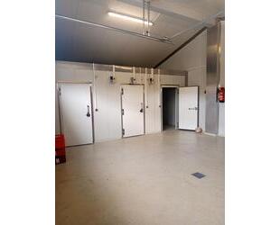 Produktion Halle - 1.950,00&nbsp;EUR Kaltmiete, ca.&nbsp; 180,00&nbsp;m&sup2; in Pfaffenhofen an der Roth (PLZ: 89284)