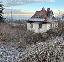 Freistehendes Einfamilienhaus mit spektakulärer Aussicht - Würzburg Steinbachtal
