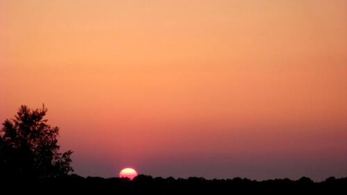 Foto - Top 3 Z. im Grünen, dennoch zentral in Großefehn.