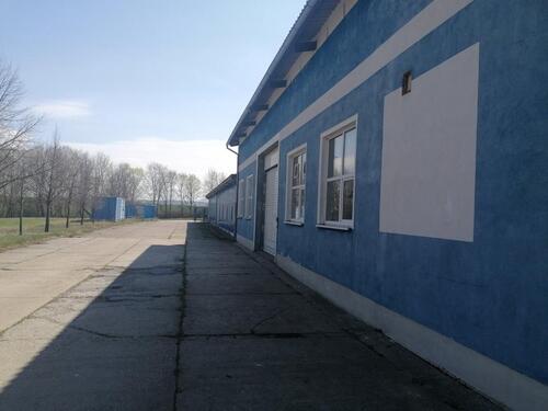 Foto - andere in Neustadt in Sachsen