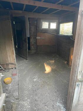 Foto - Einfamilienhaus in Aschersleben