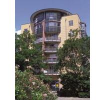 Feierabendsonne am Balkon - 2-Zi.-Whg. nahe Großer Garten - Dresden Blasewitz